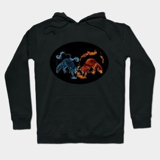 Fire and Water Fox Spirits Hoodie